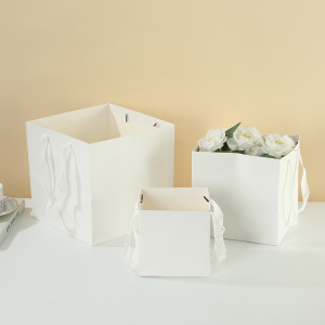 Gift Carry Bag | White Card Bag